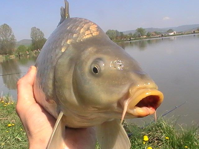 pe la balti - pic2645.JPG